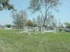 GRASSF1.jpg (79396 bytes)