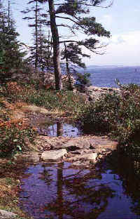 04. coast 2.jpg (48086 bytes)