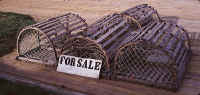 11. lobster traps.jpg (67623 bytes)