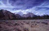 04FieldofSagebrush.jpg (45329 bytes)