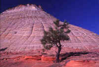 09. Checkerboard Mesa.jpg (56187 bytes)