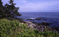 Acadia 2.jpg (94787 bytes)