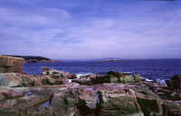 Acadia.jpg (68585 bytes)