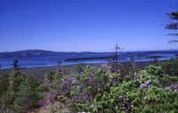 Mt Desert I from Schoodic P 2.jpg (66302 bytes)