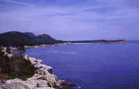 sand beach.jpg (58657 bytes)
