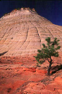 32CheckerboardMesa.jpg (86120 bytes)