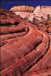 36slickrockpatterns.jpg (92754 bytes)