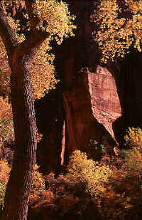 37ThePulpitautumn.jpg (96942 bytes)