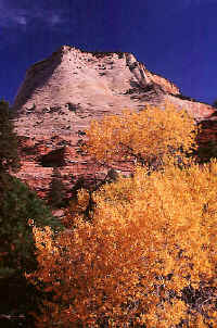 40Zionbutte.jpg (94666 bytes)